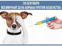 Внимание, бешенство!  Почему один укус может стоить жизни — и как мы можем это остановить.