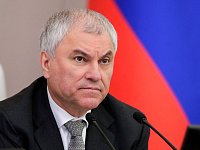 Володин: еще 6 РАЙОНОВ области вошли в депутатский проект