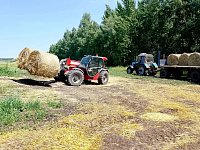 Золотые дни июля: заготовка кормов в самом разгаре
